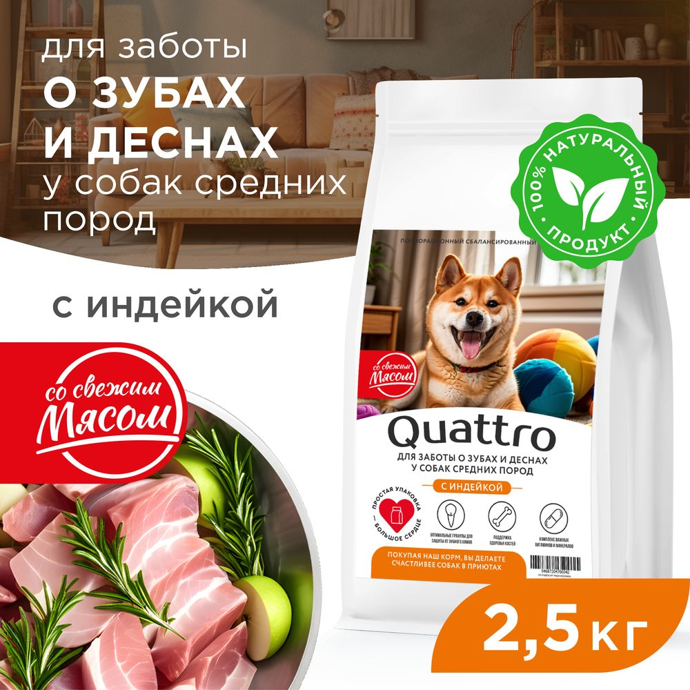 Корм сухой для взрослых собак средних пород, премиум полнорационный комплекс, забота о зубах и деснах, с индейкой, 2,5 кг, QUATTRO