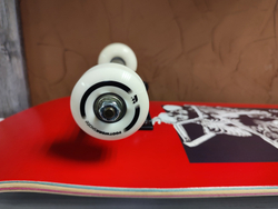 Скейт в сборе Money lovers (mult) 8.25"