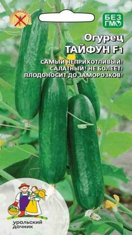 Огурец "G. Тайфун F1" 5шт., Россия.
