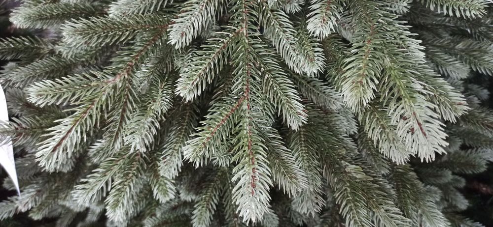 Ель искусственная «Архангельская» (Литая хвоя) от 1,2 м до 3 м