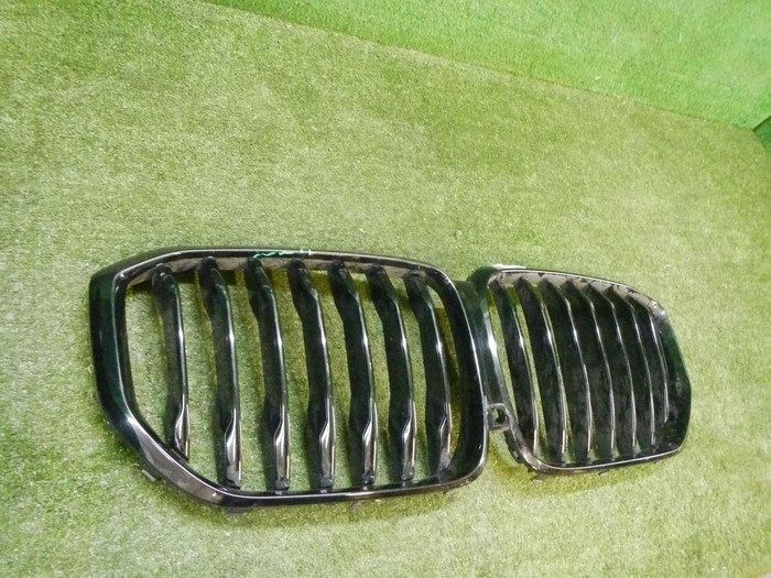 Решетка радиатора BMW X5 G05 (2018-2023)