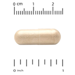 California Gold Nutrition, EuroHerbs™, экстракт листьев оливкового дерева, качество Euromed, 500 мг, 60 растительных капсул