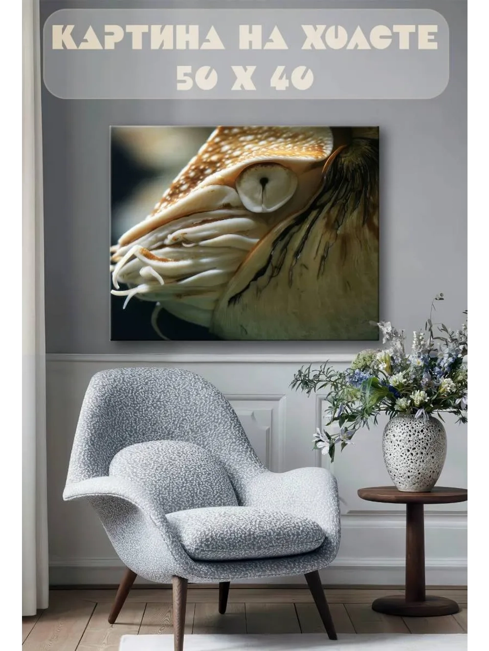 Картина на стену 40 X 50 Моллюск