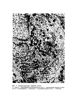 Нервные болезни | Е.И. Гусев; В.Е. Гречко