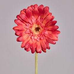 ЦВЕТОК ИСКУССТВЕННЫЙ "ГЕРБЕРА" ВЫСОТА=61СМ. (МАЛ=24 ШТ/КОР=96ШТ.)