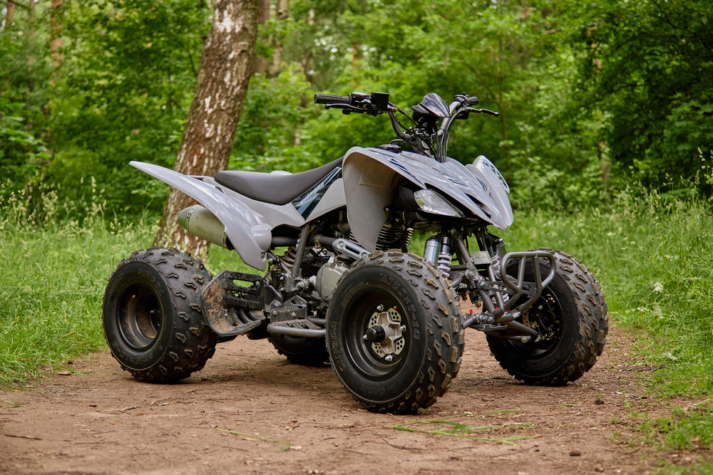 Квадроцикл SHARMAX Raizer Race Cup 250