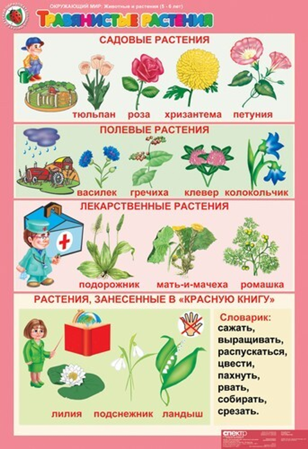 Комплект таблиц Окружающий мир 5-6 лет "Животные и растения" (12 таблиц+16 карт.)