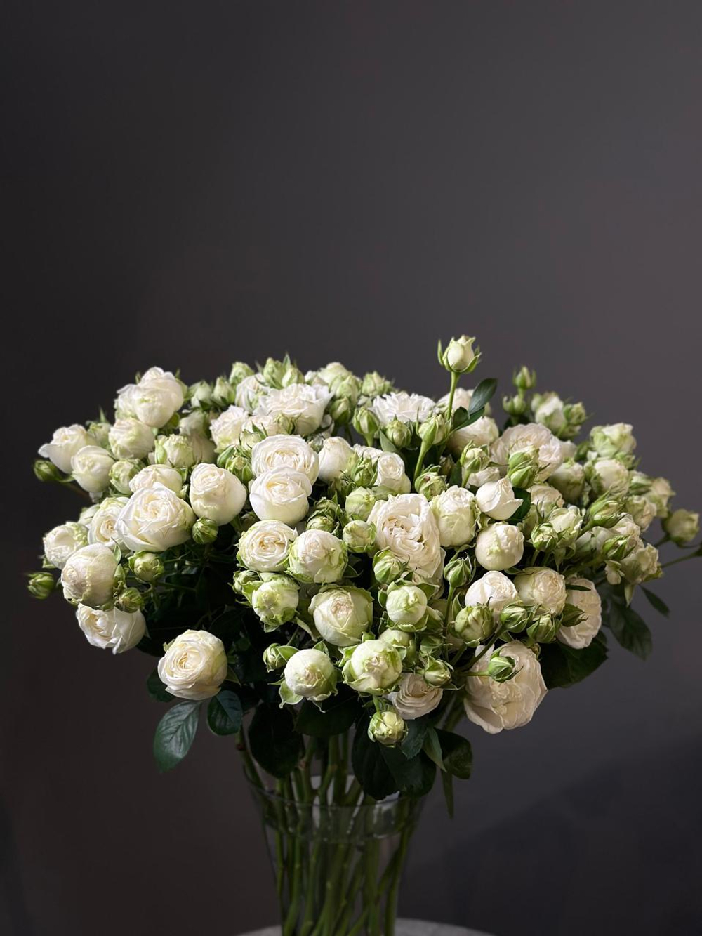 Кустовые розы сорт «Miss Bombastic» (Кения)