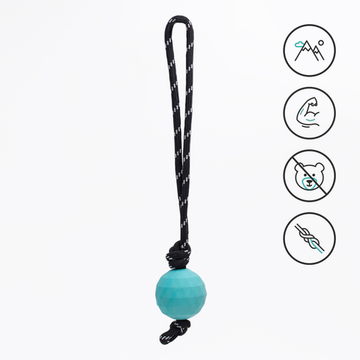 Мяч ZippyTuff Rope на веревке ZippyPaws