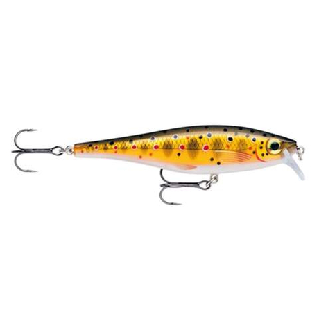 Воблер RAPALA BX Minnow 10 см, 12 г, цвет TR