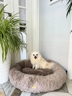 Лежанка для кошек лежак для собак домик