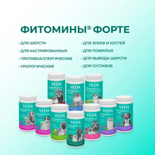 Витамины Фитомины Форте для шерсти собак, на основе растительных, минеральных и биоактивных веществ, 200 таблеток