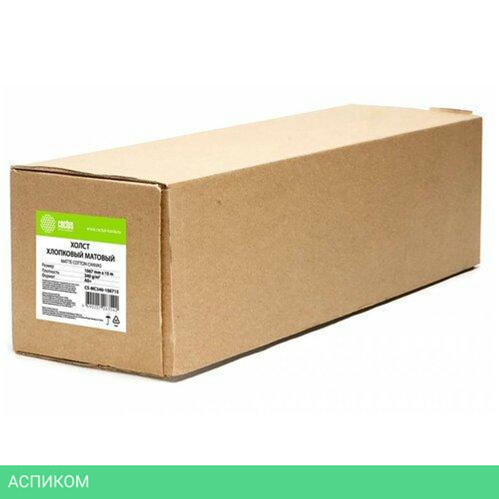 Холст Cactus CS-MC340-106715
