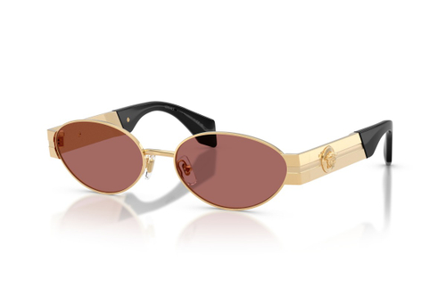 Versace 2301