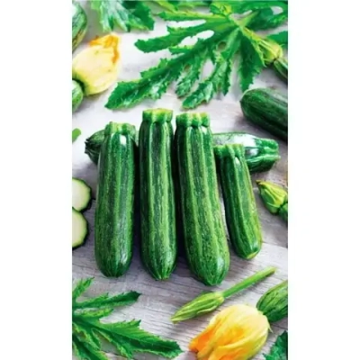 Семена Кабачок Сударь - цуккини (УД) 2гр Е/П