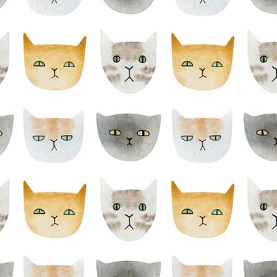 Коты