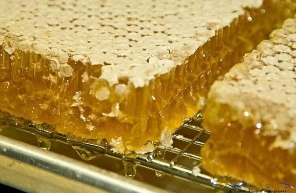 Мед - вкусно