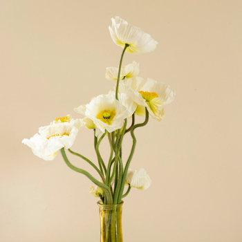 Подписка для бизнеса