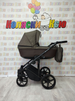 Коляска модульная Adamex Amelia AM244