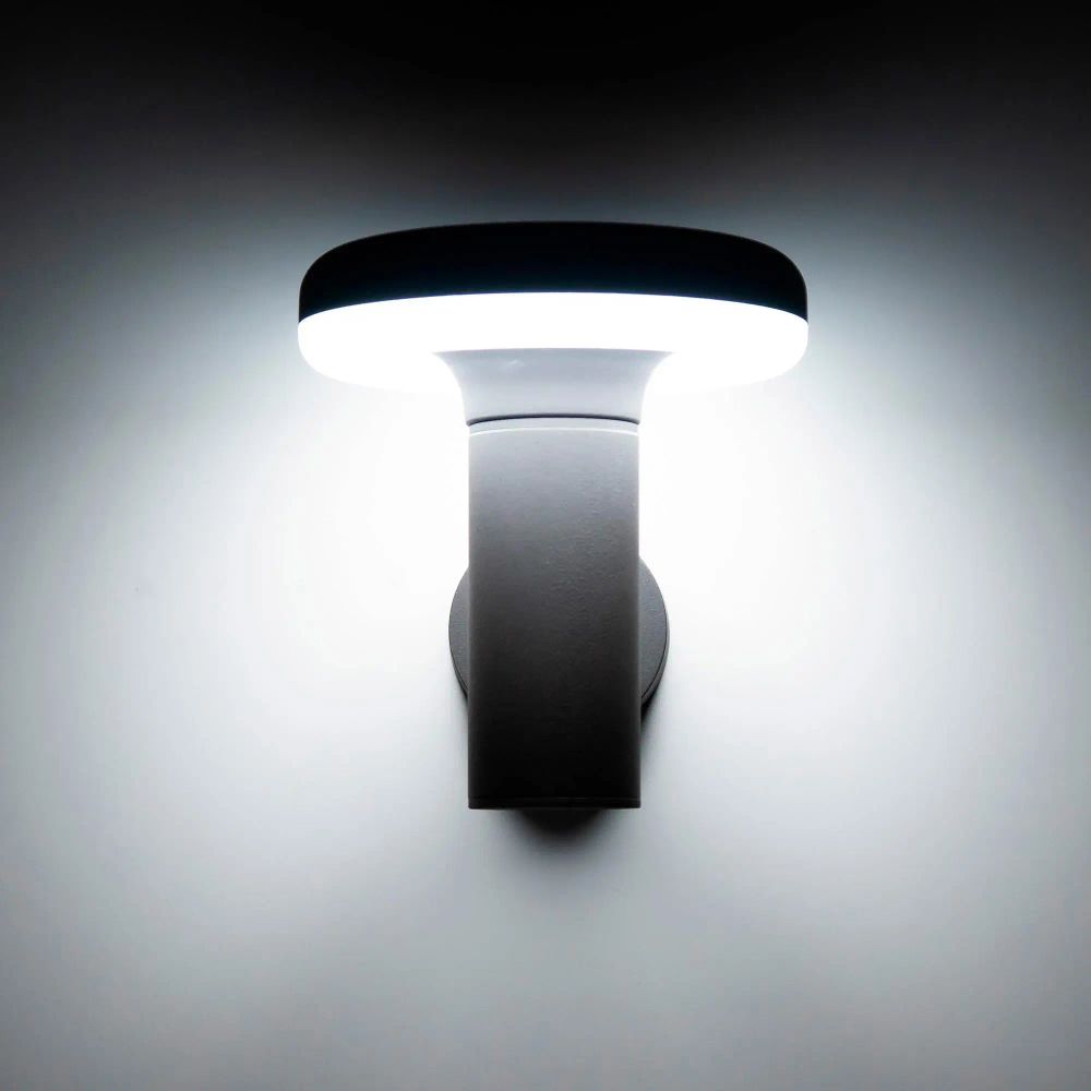 Citilux GARDA CLU01W LED Уличный настенный светильник Графит