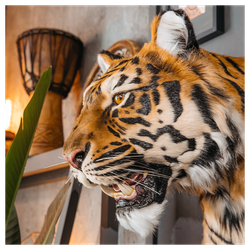 Реплика головы «Амурский тигр»