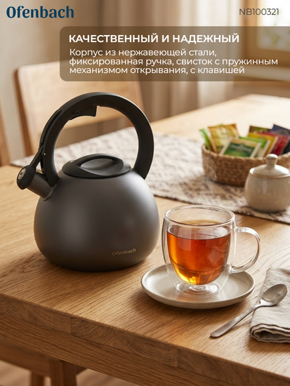 Чайник 2,7 л. из нержавеющей стали со свистком Ofenbach NB100321