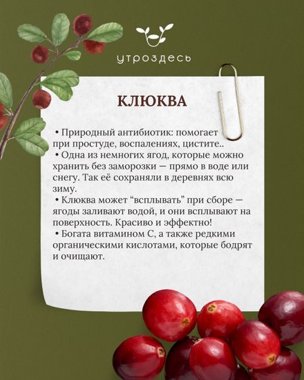 Сибирские цукаты крыжовника, клюквы и черники   в тубусе, 250мл