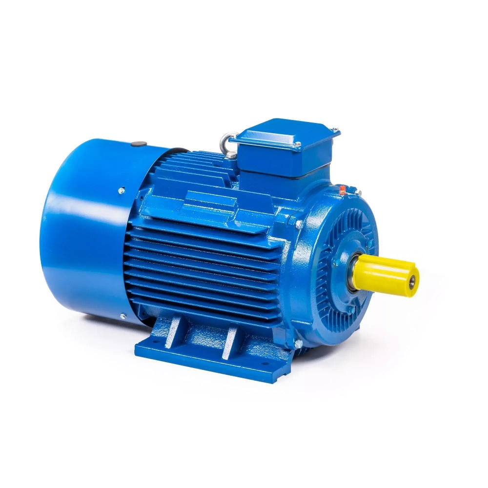 Электродвигатель 5АИ 200 L6 30/1000 IM1001