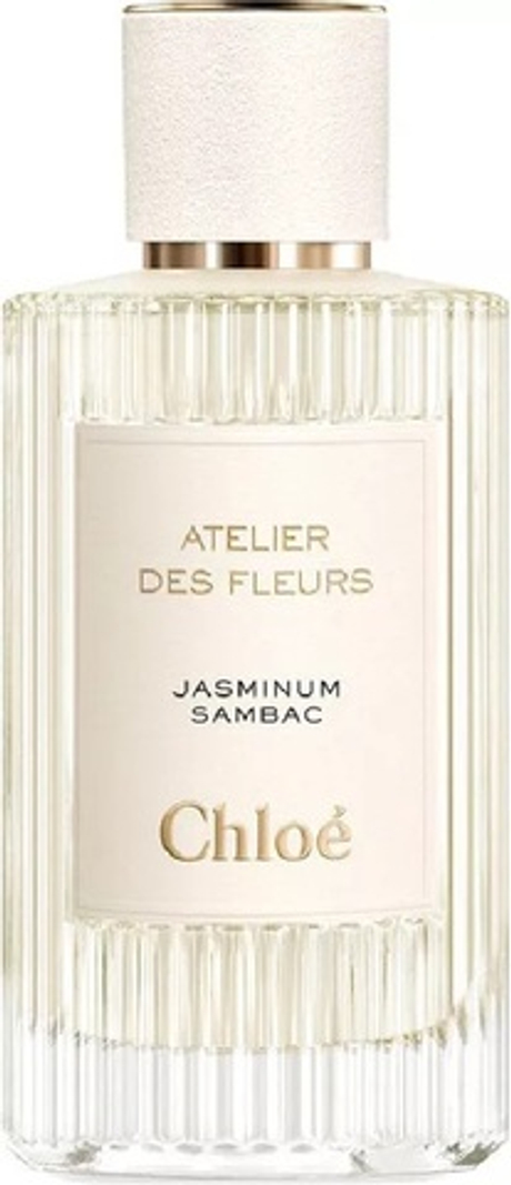 Chloe Atelier Des Fleurs Jasminum Sambac