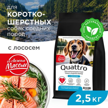 Корм сухой для взрослых собак средних пород, премиум полнорационный комплекс, для короткошерстных собак, с лососем, 2,5 кг, QUATTRO