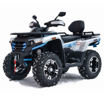 Квадроцикл Motoland 300 MAX X (с ПСМ)