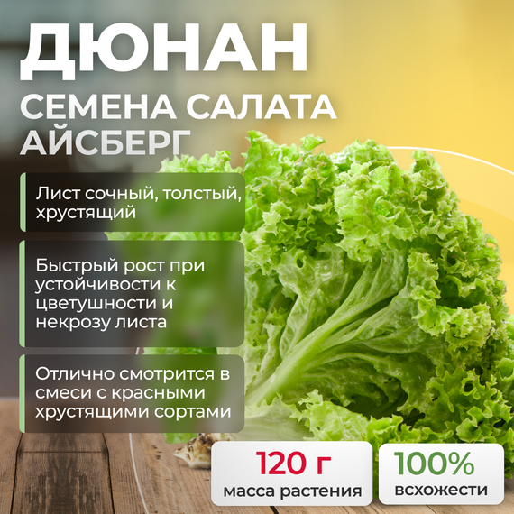 ДЮНАН семена салата (Rijk Zwaan | Alexagro) – фото 1