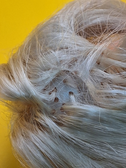 Кукла Барби 90-х винтаж 031724