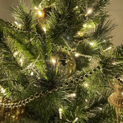 ENON-10B ЭРА Гирлянда LED Нить 10 м теплый свет, 24V, IP44