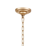 Подвесная люстра Favourite Pulcher 2619-37P