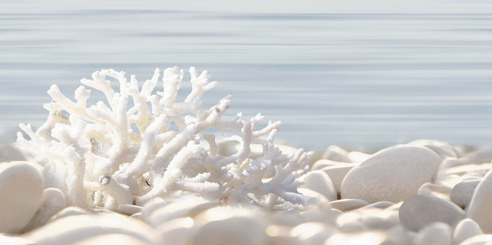 Дель Мар / Del Mare