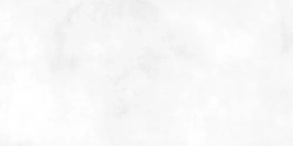 Настенная плитка ALMA Ceramica TWU09RCD000 Richard 50x24.9 белая глянцевая под бетон