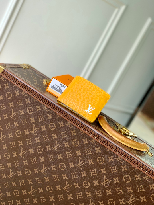 Louis Vuitton Multiple Wallet