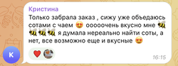 Соты рамка целая (1,5-1,7кг) разнотравье
