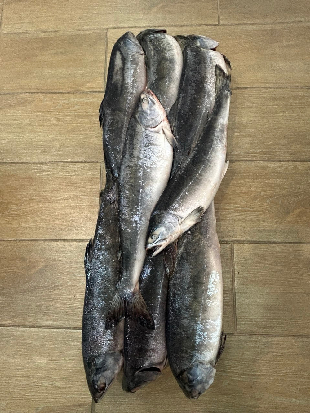 Горбуша с/м непотрошеная