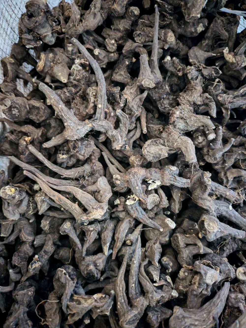 Аконит джунгарский корень Киргизия (мешок 22кг)