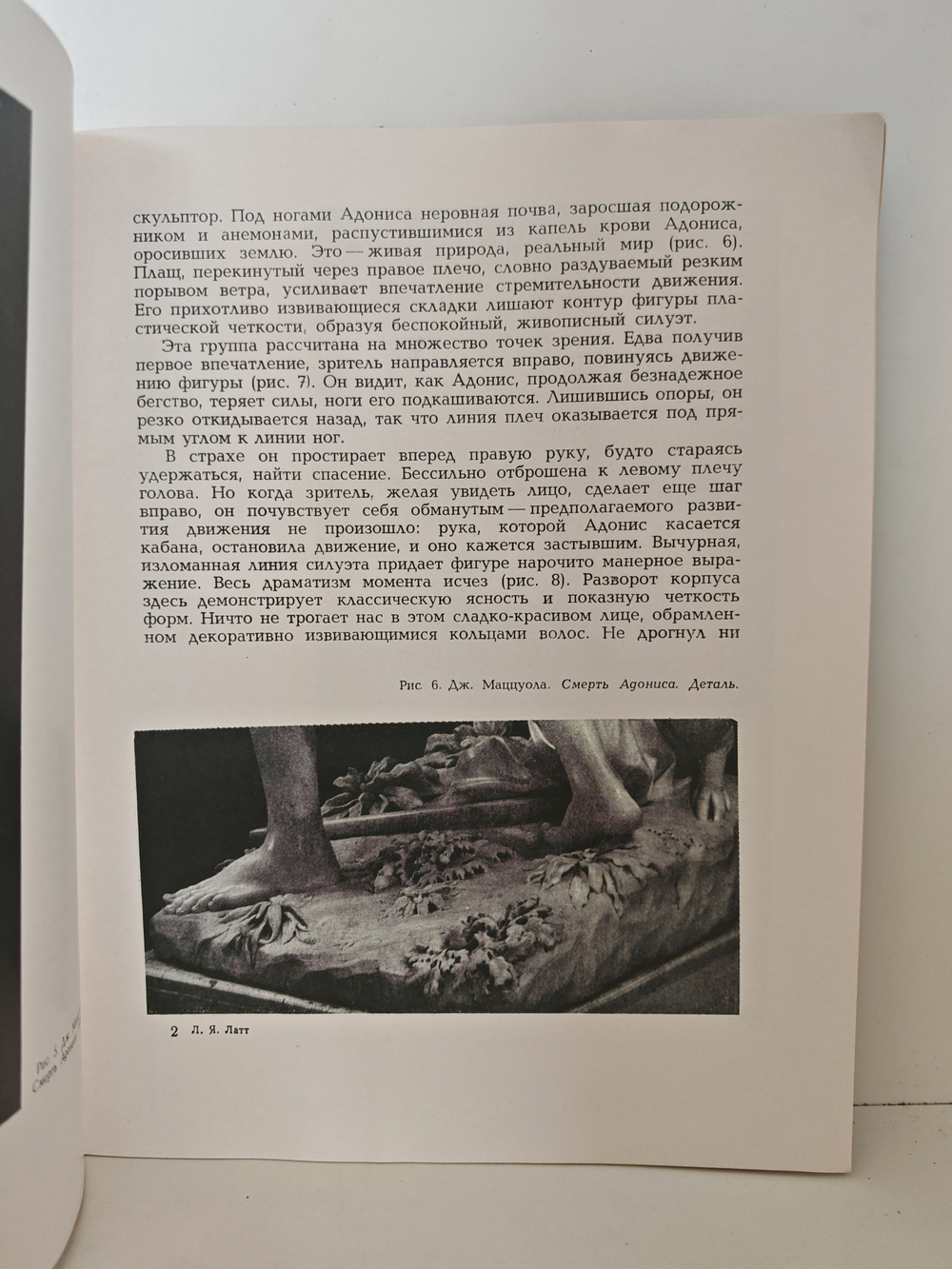 Смерть Адониса. Дж. Маццуола