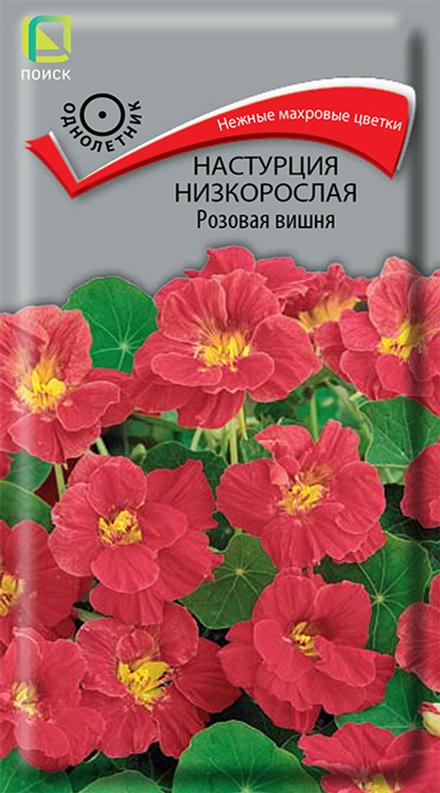 Настурция низкорослая Розовая вишня