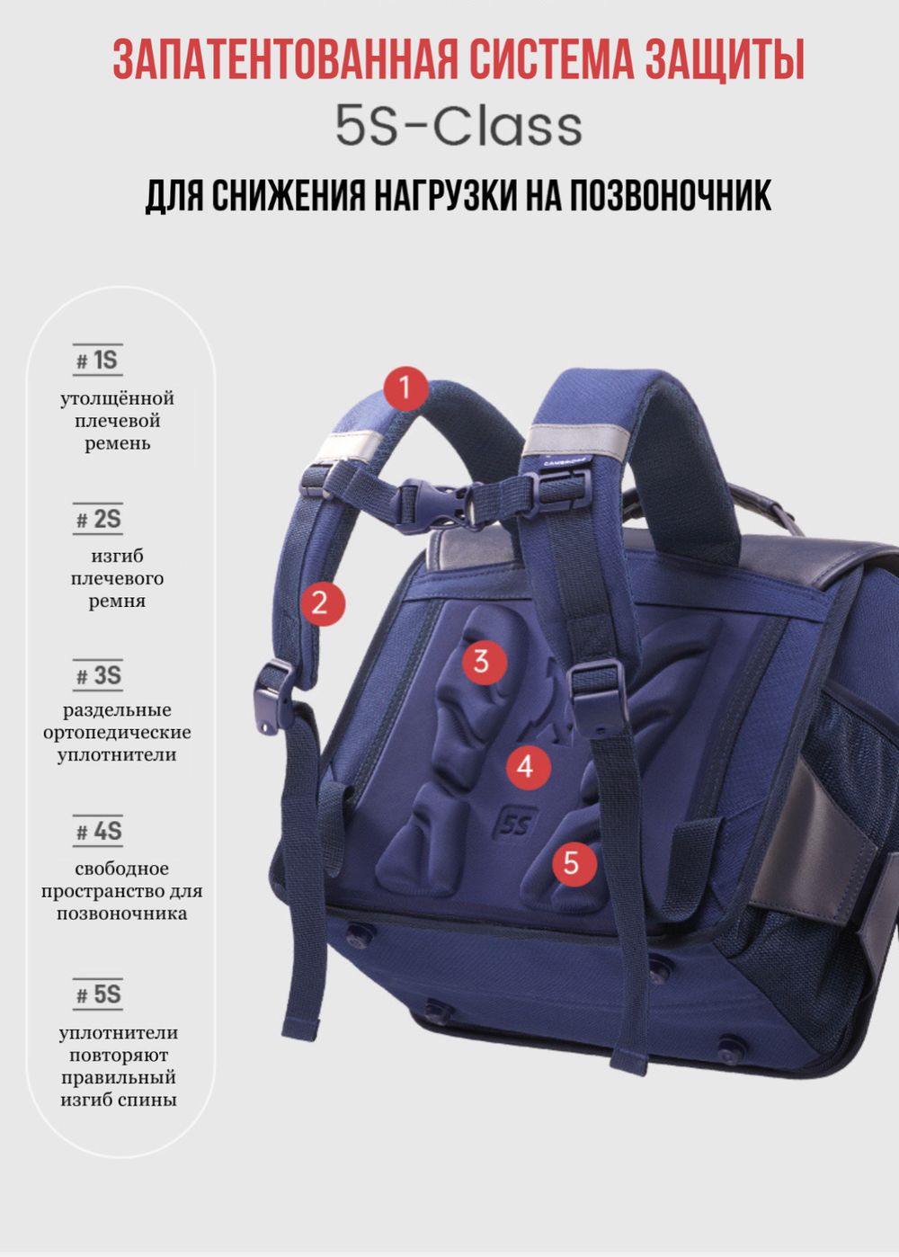 портфель