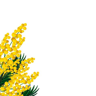 Как сохранить свежесть букета из мимозы: практическое руководство