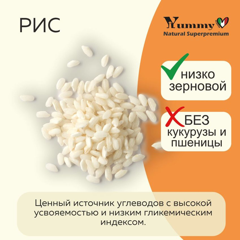 Yummy Linea корм для взрослых стерилизованных кошек, индейка, 400 гр