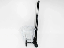 Электротрицикл EL-Sport SF8 Maxi 500W