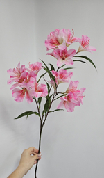 Альстромерия / Арт 2568