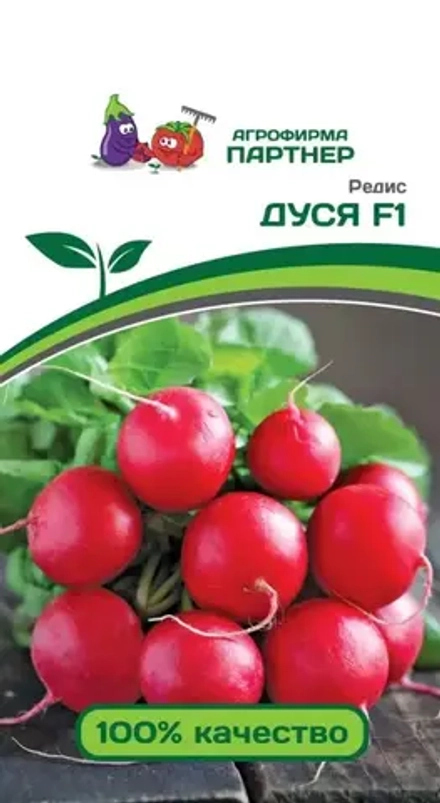Редис Дуся