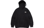 Худи THE NORTH FACE Logo, NM5PN90A